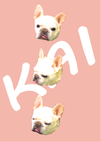 フレブルかいちゃん～かわいいver3～