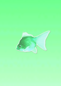 Lucky Goldfish Simple 15