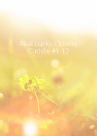 Real Lucky Clovers Cuddle #1-12