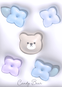 purple Candy bear03_2