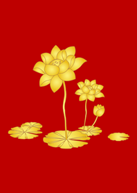 황금 길조 연꽃