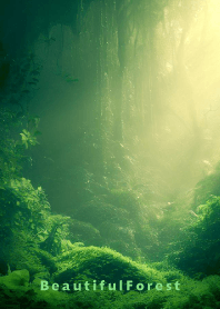 Beautiful Forest-HEALING- 16