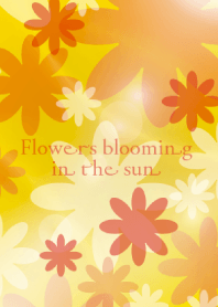 Flowers blooming in the sun Vol.1