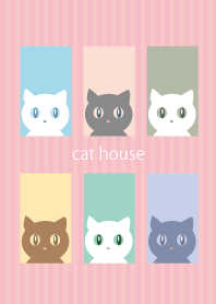 cats and house