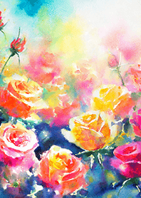 Beautiful rose flower(R1236)