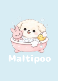 柔軟馬爾泰迪主題3 Blue 02