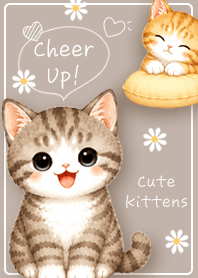 brown Kitty Cheer Time