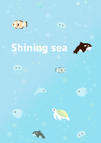 Shining sea!