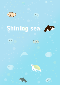 キラキラな海