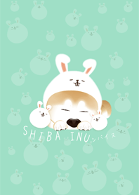很睏的兔子帽柴犬(湖水綠)
