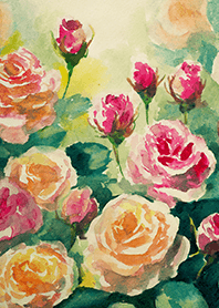 Beautiful rose flower(R4292)