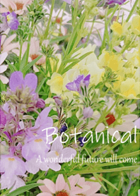 Healing botanical life13