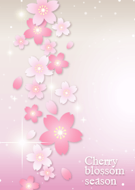Cherry blossom season [Beige]