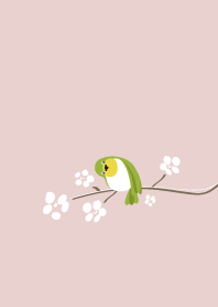 Green bird pink world