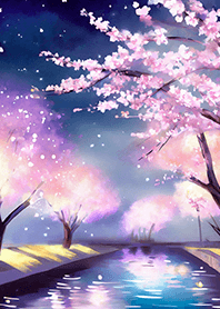 Beautiful night cherry blossoms#1988