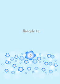 Nemophila 3rd