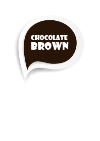 Chocolate Brown Button In White V.2
