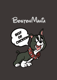 BostonMania