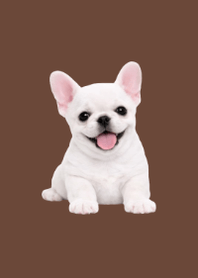 Plush Frenchie Brown 02