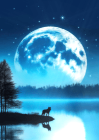 full moon, lake and wolf