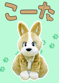 もふもふ！着せかえこーた【実写版】