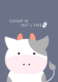 CLOSEUP OF CALF's FACE/BEIGE/NAVY BLUE
