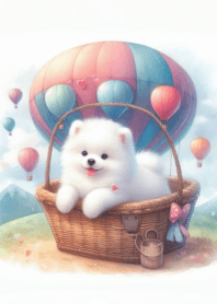 Cute Samoyed fat body n.3