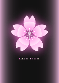 sakura phrase 1 J