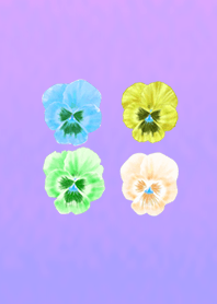 Cute pansy flower field purple blue