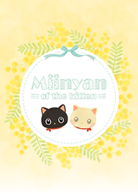Miinyan of the kitten -mimosa-
