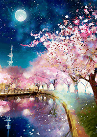 Beautiful night cherry blossoms#2403