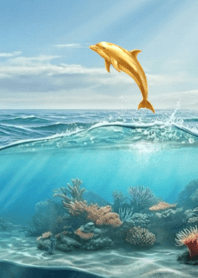 Wish come true,Gold Dolphin