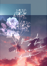 Space of sky, roses and clouds6.
