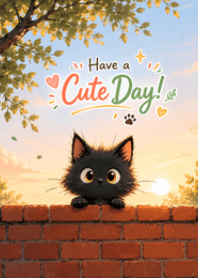 Black Kitten Lifestyle : Wall Peek