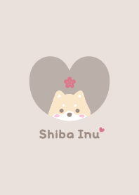 Shiba Inu2 Cherry blossoms / beige