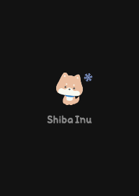Shiba Inu3 Crystal - Black