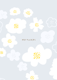 white fluffy flowers24