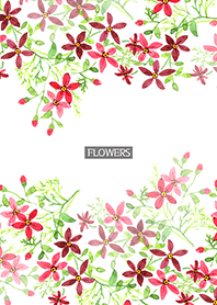 water color flowers_522