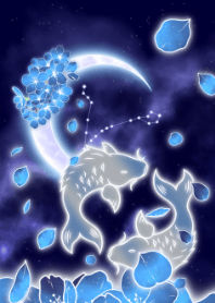 blue cherry blossoms Pisces JPN