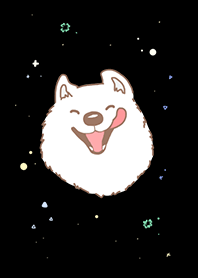 Samoyed Black