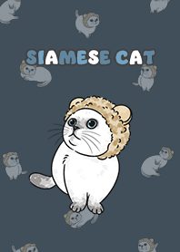 siamesecat6 - indigo