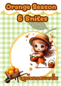ฤดูส้มและรอยยิ้ม V.1