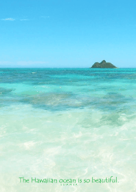 Hawaiian ocean is so beautiful -shell-21