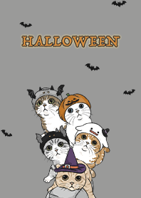 meow's halloween2 - dim grey