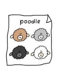 Perfectly round poodle