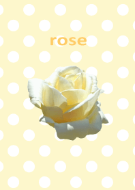 white rose flower & dot theme