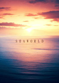 SEA WORLD-Sunset 59