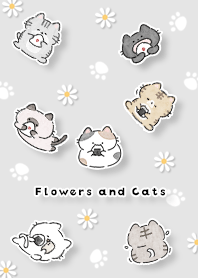 Flowers and Cats 01_2