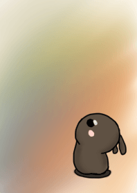 rabbit-staring