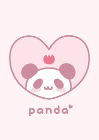 ぱんだチューリップ[ピンク]